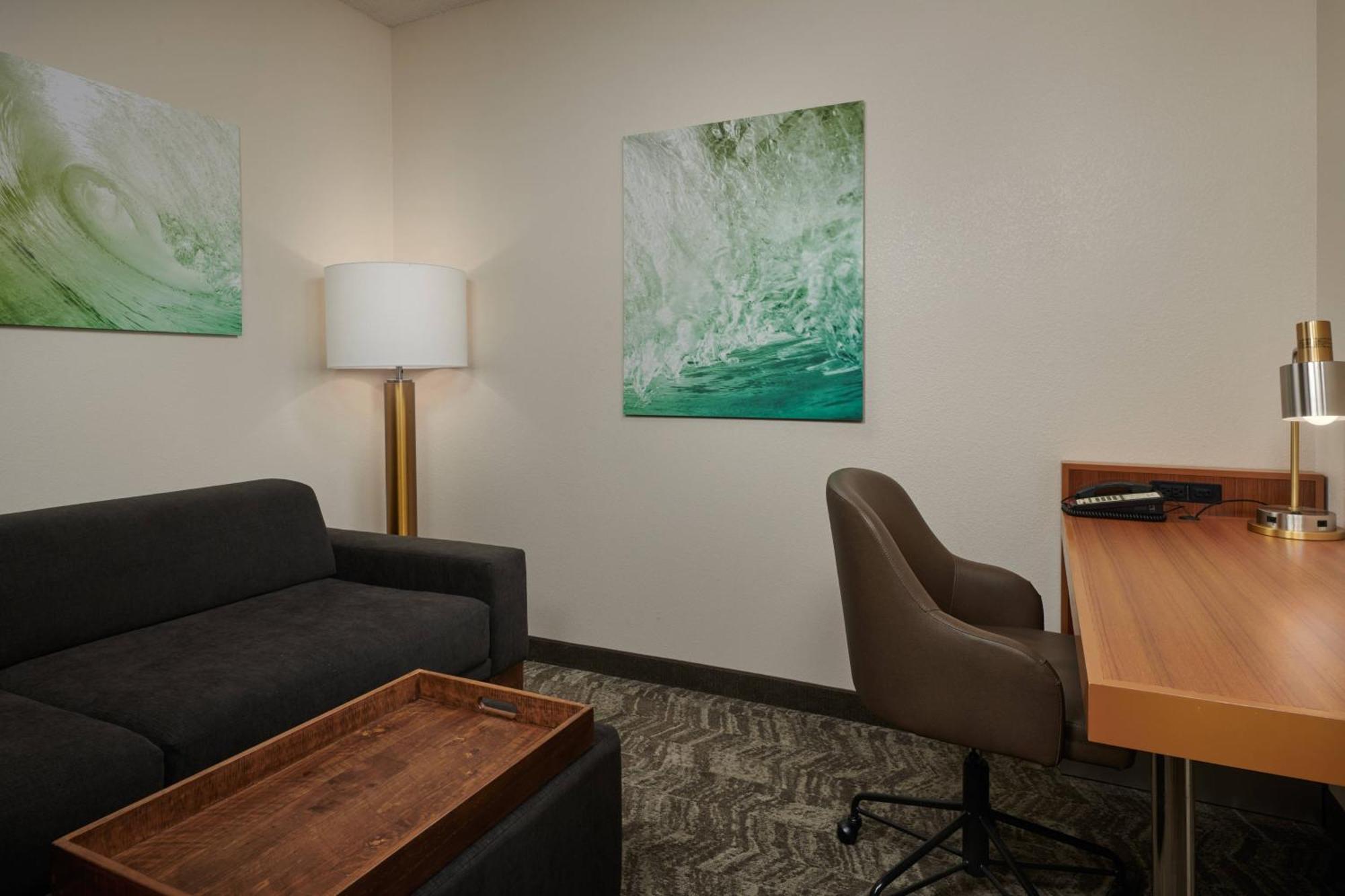 Springhill Suites By Marriott Baton Rouge North / Airport Luaran gambar